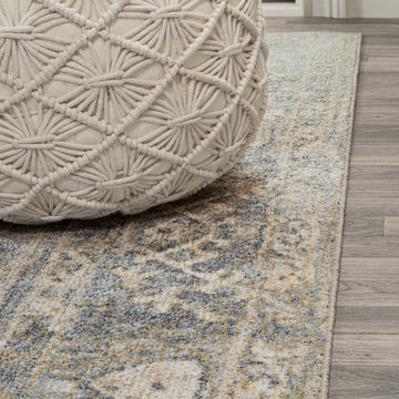 Pavel Distressed Medallion Low-Pile Machine-Washable Area Rug